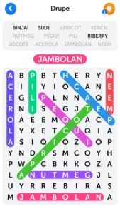 تحميل لعبة WORD SEARCH البحث عن الكلمات – لعبة ألغاز الكلمات 2
