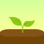 على تركیزك forest